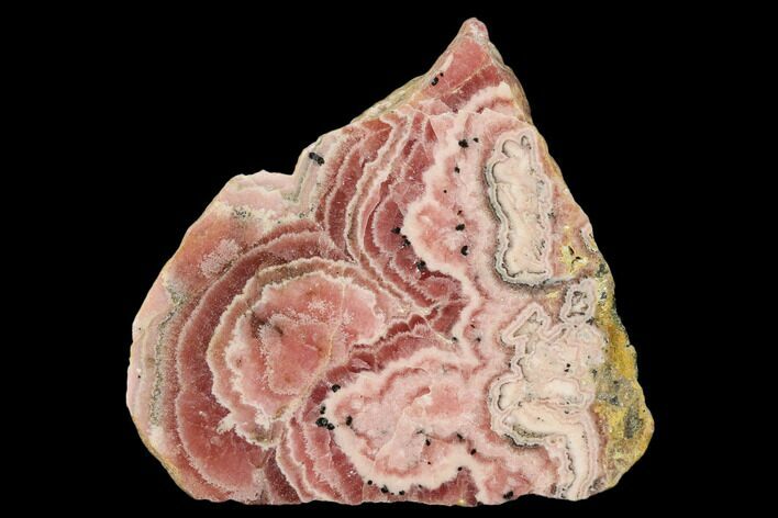 Rhodochrosite Stalactite Section - Argentina #150846